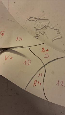 5 Taglio cartoni